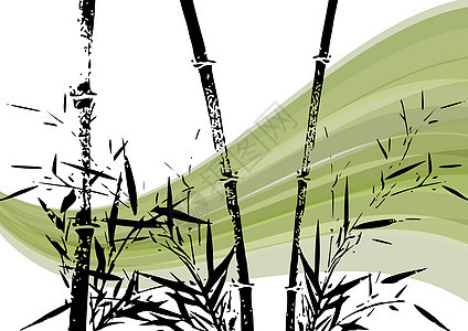 竹条说明森林叶子生长绿色插图情调热带木头植物植物群图片