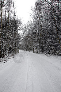 冬天天气天空公园风景小路曲目场景季节冻结树木图片