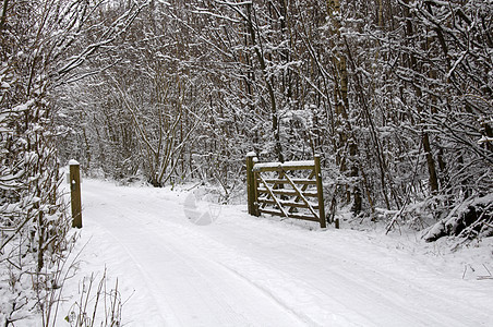 冬天曲目天空场地场景国家小路冻结雪景季节风景图片