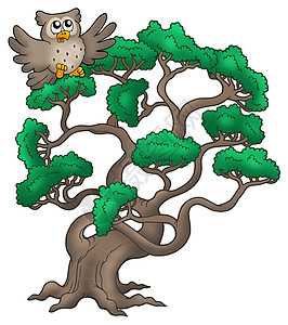 大松树和卡通猫头鹰图片