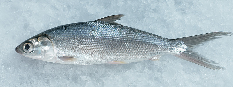 鱼生活方式食物市场海鲜水平健康饮食熟鱼图片