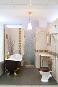 豪华的厕所前提建筑学浴室大理石卫生房子镜子淋浴合金家具图片