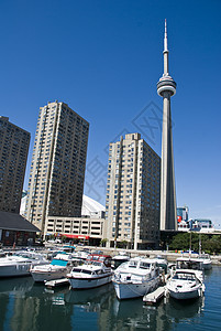 加拿大多伦多建筑图 2008年8月城市生活商务反射结构办公楼省会外观场景建筑学假期图片