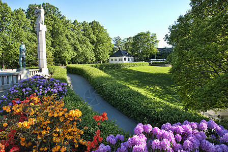 2009年5月 挪威奥斯陆草地的鲜花 2009年5月玫瑰花瓣白色紫色绿色花园图片
