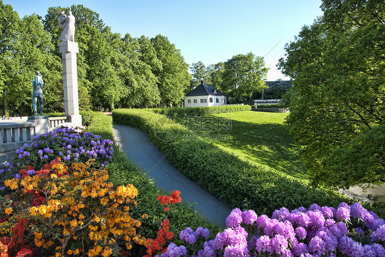 2009年5月 挪威奥斯陆草地的鲜花 2009年5月玫瑰花瓣白色紫色绿色花园图片