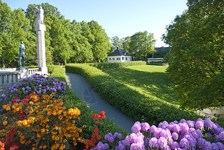 2009年5月 挪威奥斯陆草地的鲜花 2009年5月花园紫色花瓣绿色玫瑰白色图片