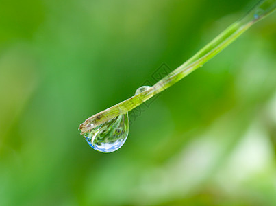 绿刀下的雨水图片