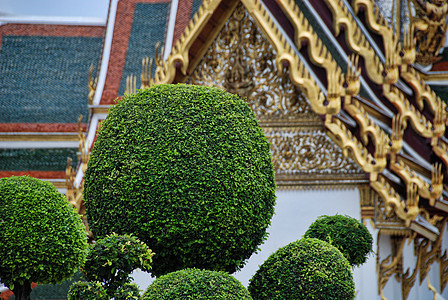 泰国曼谷建筑文化天空结构建筑风格寺庙雕像建筑学金子地方图片