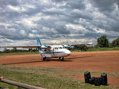 2005年春肯尼亚 非洲和非洲的详情青年衬套旅行宝贝蓝色冒险野生动物天空部落公园图片