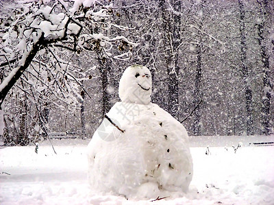 雪人天气树木学位冻结城市白色公园背景图片