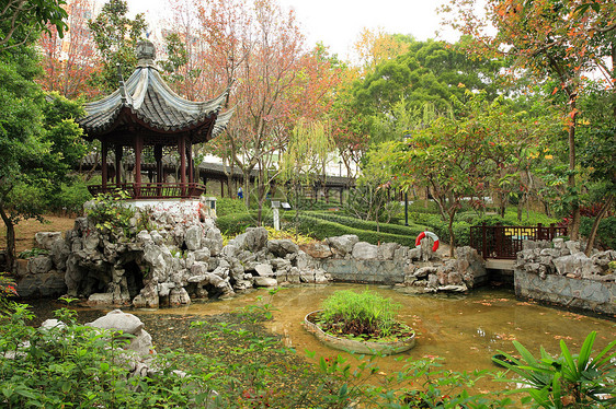 中华花园花园建筑石头蓝色天空池塘传统水池岩石树木图片