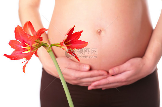 红色百里红子宫腹部家庭良知新生生活百合药品母性肚子图片