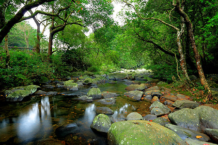 流动水森林中的泉水热带石头荒野公园阳光力量叶子风景环境丛林背景