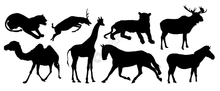 各种动物野生动物艺术驼鹿白色骆驼鹿角插图动物园夹子哺乳动物图片