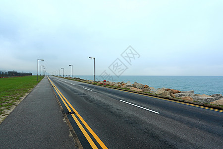 公路道路天空阳光植物学叶子晴天生长植物群草地植物环境图片