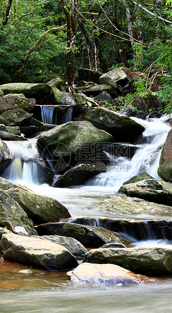 森林中的泉水溪流瀑布石头墙纸旅行流动玻璃环境叶子树叶图片