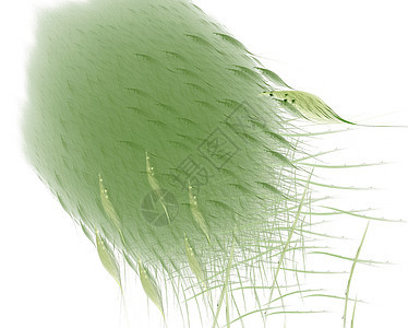 绿色抽象羽毛艺术白色隆起插图图片