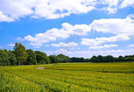 绿绿色农耕农田蓝色环境植物牧场场地农村草地乡村风景图片