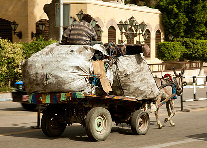 Zabbaleen 垃圾收集者骑马和推车图片
