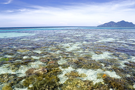 浅海开放海和岛屿图片