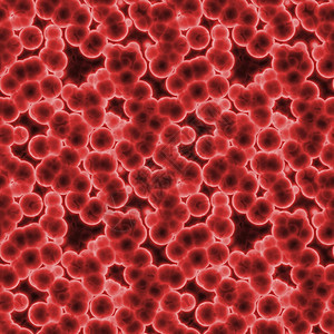 细胞插图科学红色药品病菌实验室生物学医疗生物微生物图片