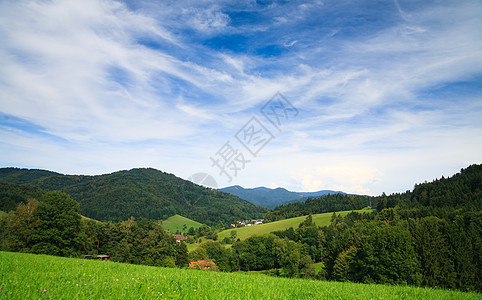 夏季风景叶子公园土地小路牧场森林天空木头山脉全景图片