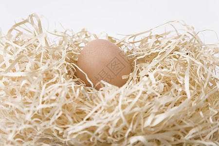 巢蛋孵化早餐财富稻草生活母鸡蛋壳宏观母性宝藏图片