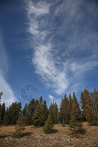 黄宝石国家公园山脉公园旅行风景树木蓝色丘陵松树山腰旅游图片