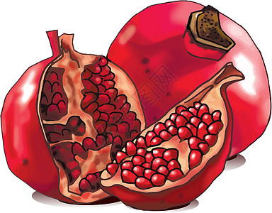 石榴药品养分水果种子红色健康食物图片