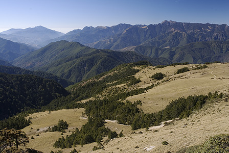 草和高山绿色蓝色草原风景图片