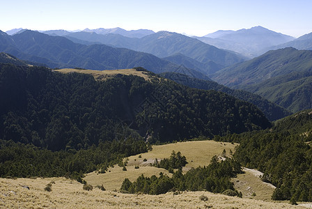 草和高山蓝色风景草原绿色图片