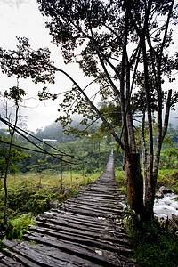 吊桥悬挂木头热带旅行森林踪迹树木远足绳索风险小路图片