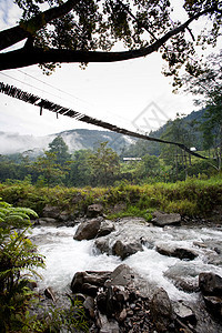 吊桥悬挂绿色故事风景瀑布岩石急流流动荒野冒险溪流图片