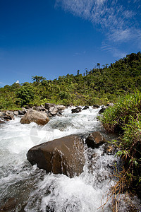 山山流瀑布流动热带风景绿色运动岩石森林荒野急流图片