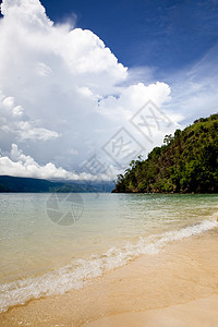 热带热带海滩绿色天空情调海岸假期海浪森林异国冲浪海湾图片