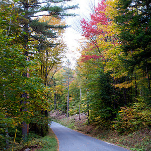佛蒙特州路德洛环境摄影风景颜色荒野树叶旅行叶子季节树木图片