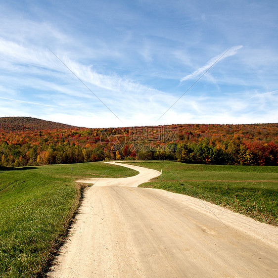 佛蒙特州路德洛颜色旅行叶子环境树叶摄影风景树木荒野季节图片
