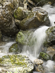 泉水流动冒险风景乡村农村藻类石头岩石角落溪流图片