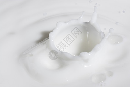 滴奶牛奶枝条健康生长液体飞溅早餐奶油宏观凝胶洗发水背景图片