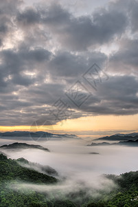 薄雾风景环境森林爬坡天空阴霾戏剧性场景天堂图片