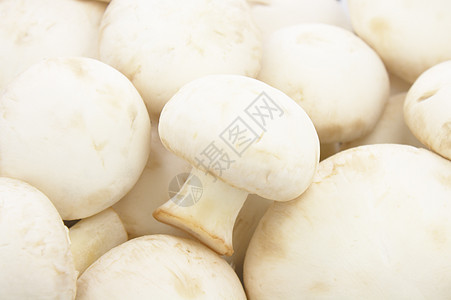 新鲜蘑菇品味食物白色菌类饮食蔬菜餐厅烹饪图片