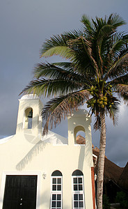 礼拜堂和棕榈树图片