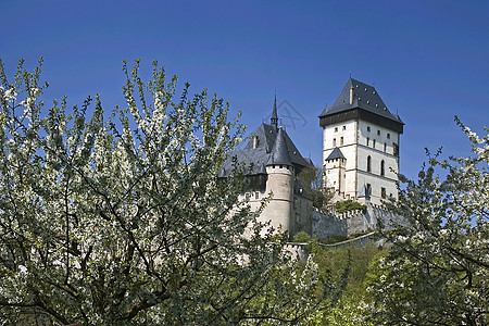 卡尔斯特丁城堡童话风景历史观光王国住宅帝国皇帝守护花朵图片