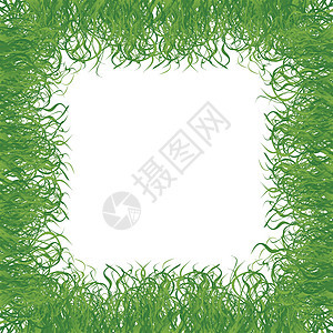 草根框架运动叶子艺术足球季节植物插图农田横幅地面图片
