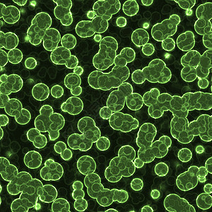 细胞科学技术药品显微镜疾病生物学生物病菌微生物细菌图片