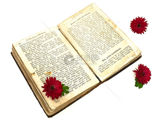 旧书和鲜花精神字母宗教花朵上帝图片