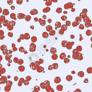 特写单元格实验室微生物生物作品药品病菌技术疾病血细胞显微镜图片