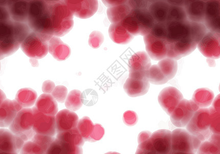 显微镜下的寿命白色生物生物学背光插图红色实验室细胞技术生活图片