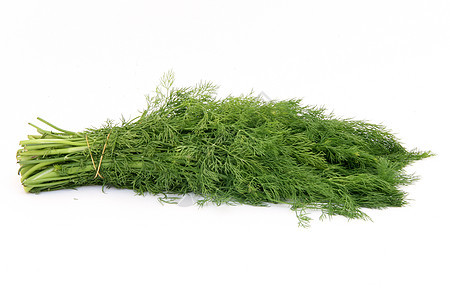 孤立的 dill 相隔植物树叶草本植物花束芳香味道美食食物绿色蔬菜图片