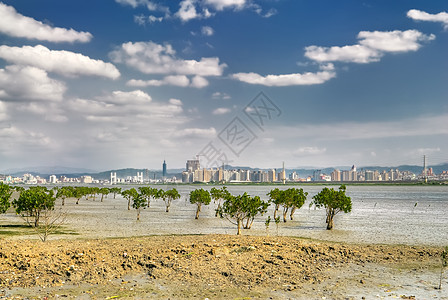 城市风景场景村庄建筑学旅行植物房子地标城市大厦天空图片